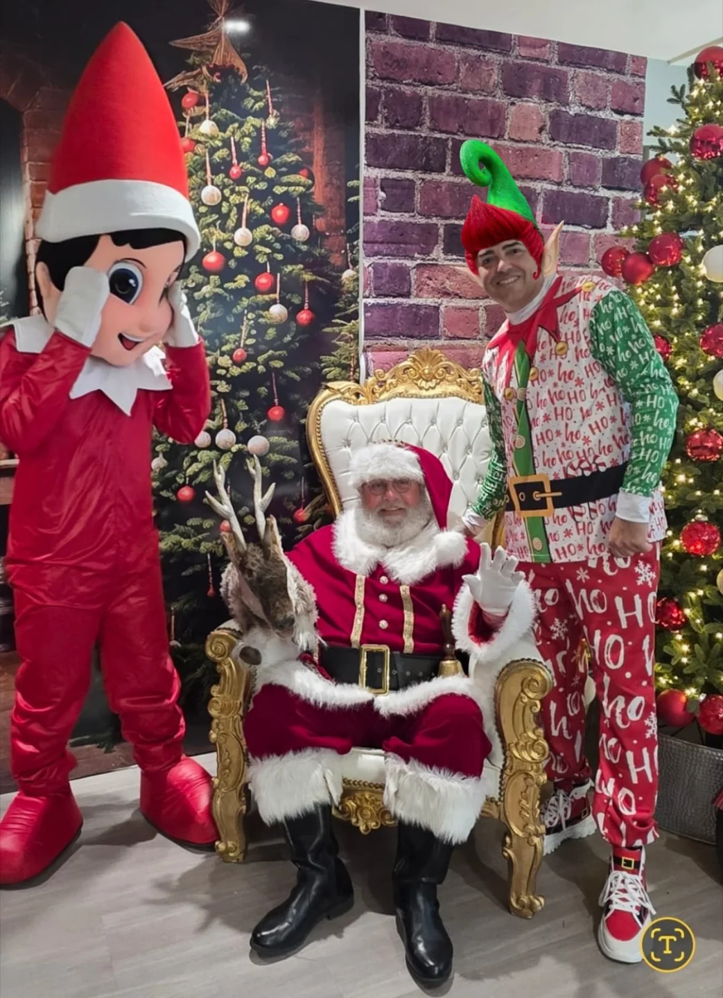 Santa Claus y personajes navideños en una actividad